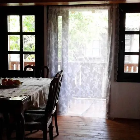 Ne Pas Utlisier Tatil Evi Elena